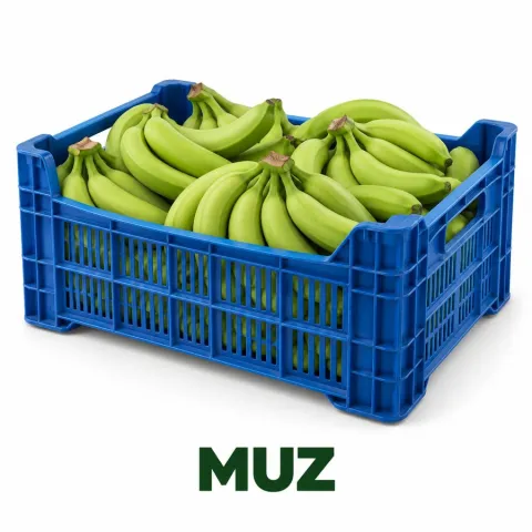Anamur Muzu