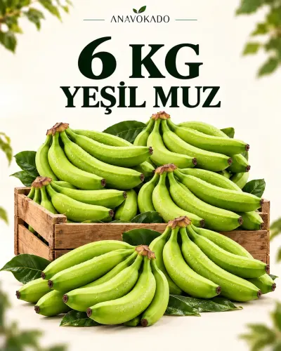 Muz-6