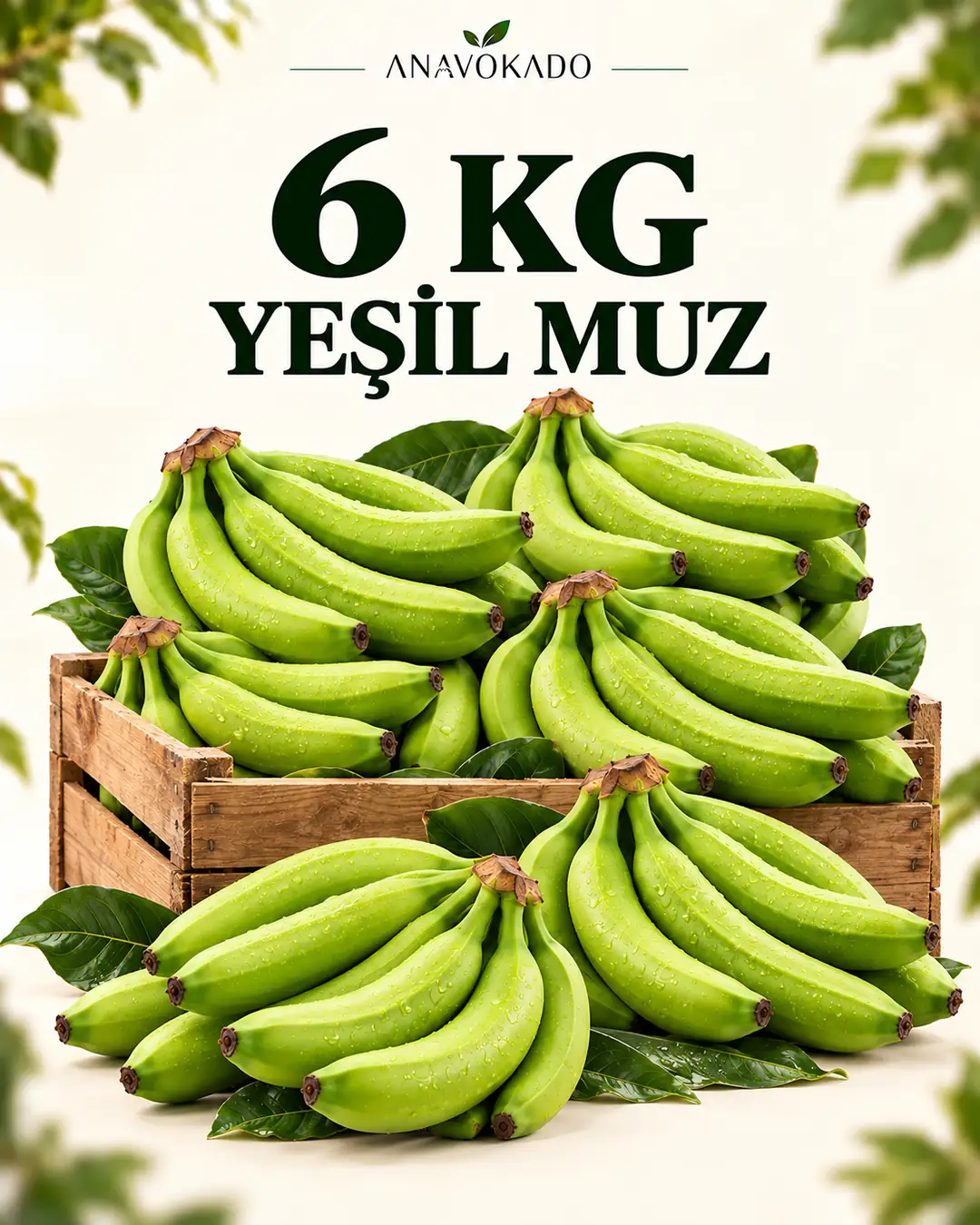 Muz-6