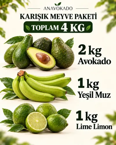 avokadolimonmuz-4