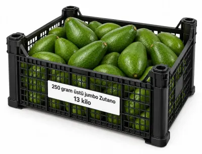 Kasa Avokado 13 kg