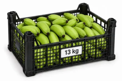 KasaLüxAnamur-13kg