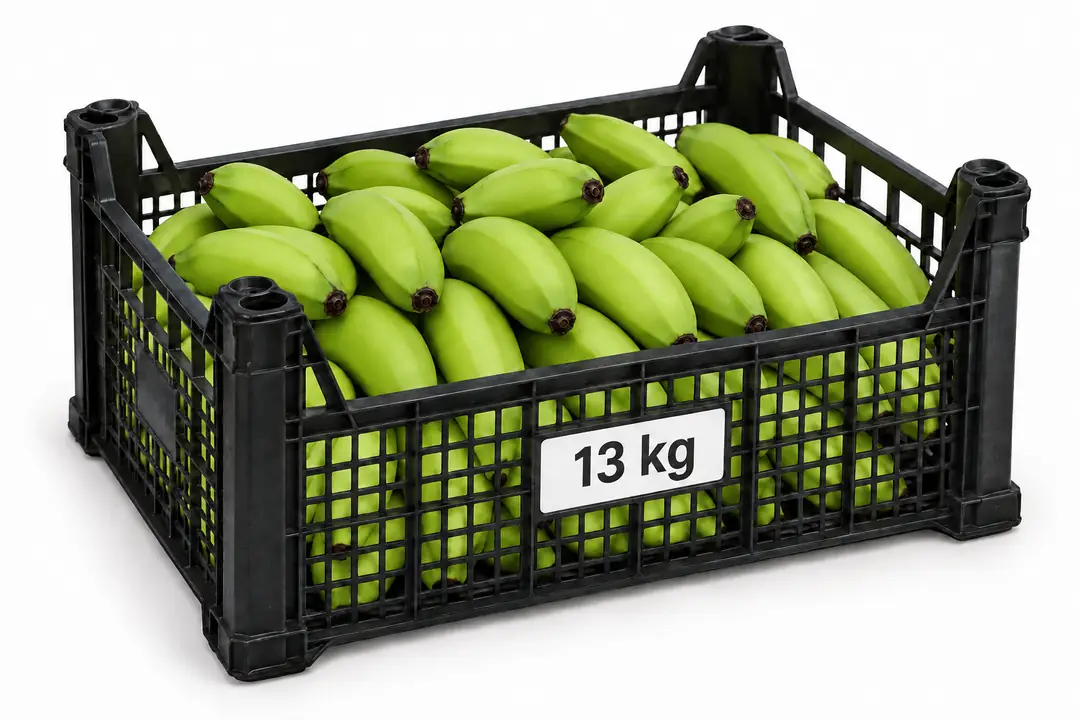 KasaLüxAnamur-13kg