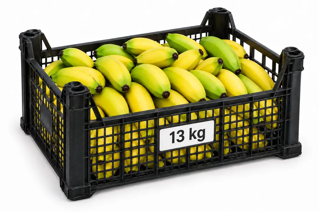 KasaLüxAnamur-13kg