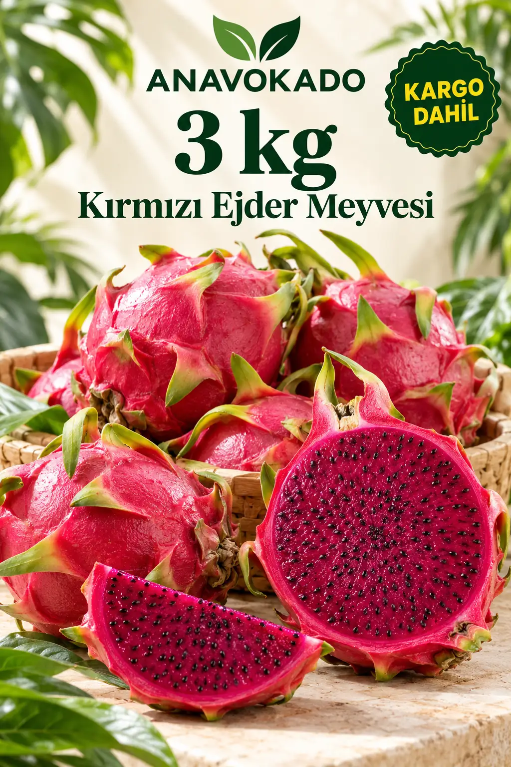 Kırmızı Ejder 3 kilo