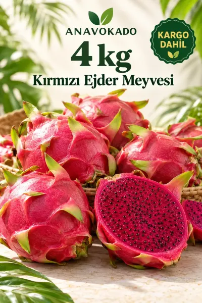 Kırmızı Ejder 4 Kilo