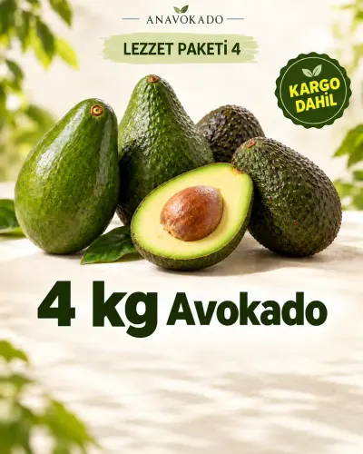 Lezzet Paketi-4
