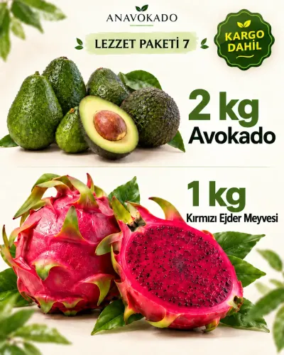 Lezzet Paketi-7