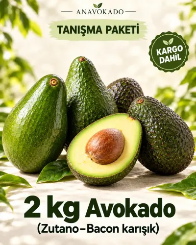 Tanışma Paketi