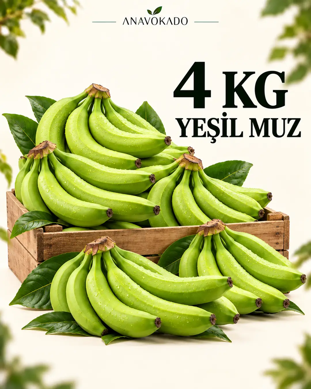 Muz-4