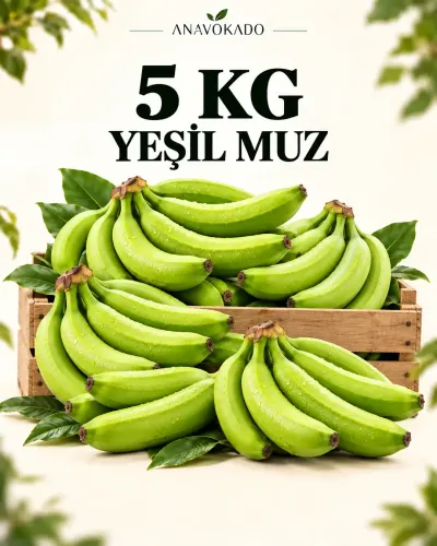 Muz-5