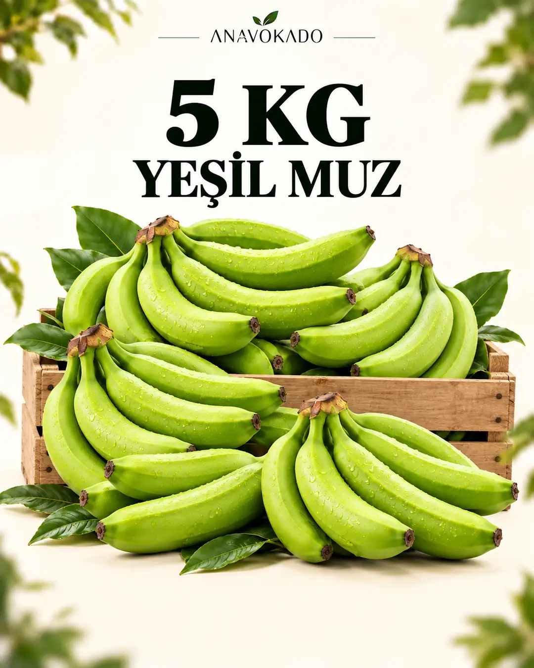 Muz-5