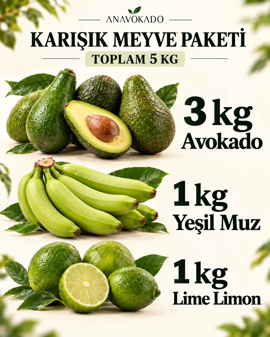 muzavolim-4